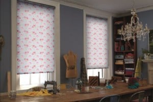 Roller Blinds Evita Scilla