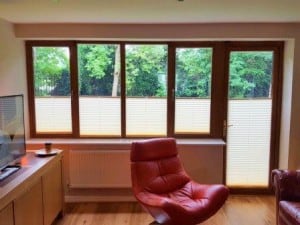 PLeated Blinds