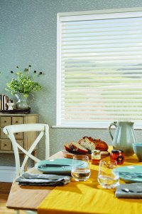 Visage Blinds