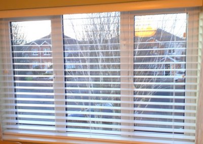 Venetian Blinds