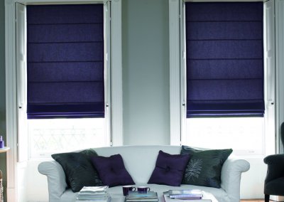 Motorized Blinds