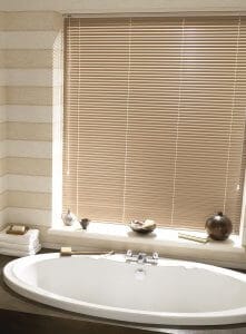 Bathroom blind