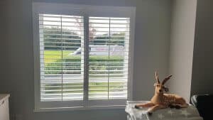 shutters kildare