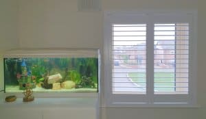 shutters lusk