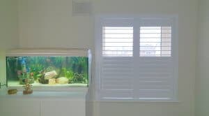shutters lusk