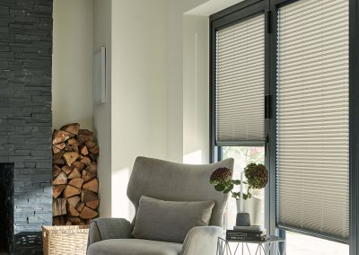 Pleated Blinds