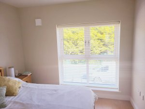 blinds dublin