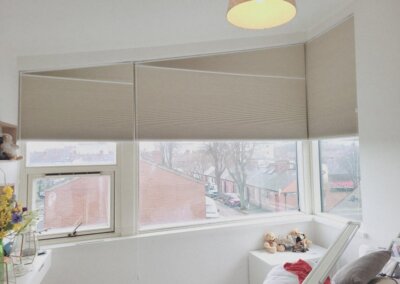 apex blinds