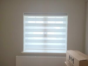 window blinds